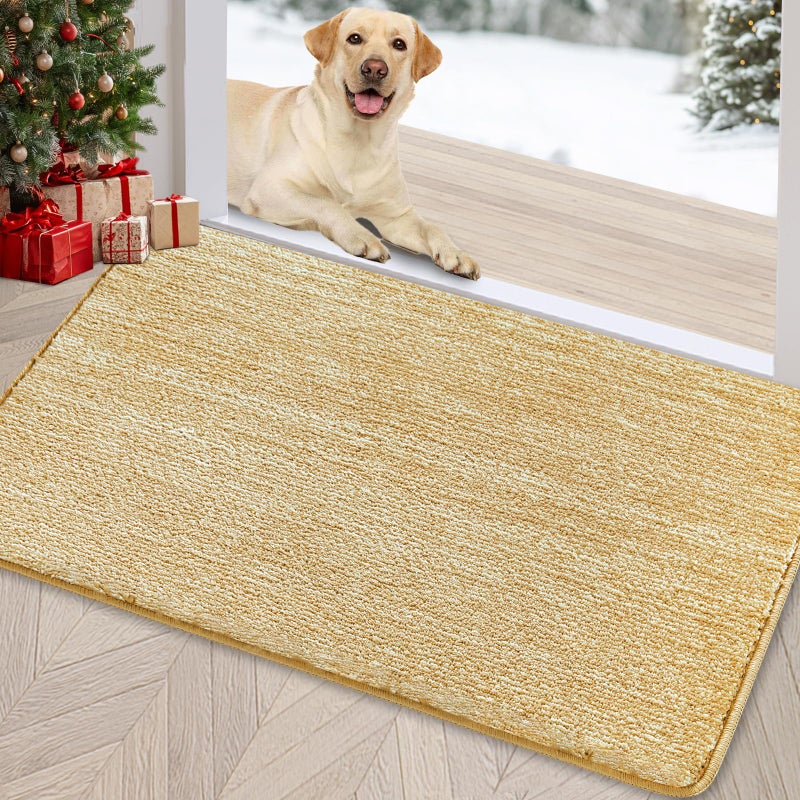 REFETONE Indoor Doormat, Front Door Mat 24"x36" Absorbent Rubber Backing Non Slip Back Door Mats, Washable Low-Profile Inside Floor Mat Door Rugs for Entryway, Resist Dirt Mud Mat for Dogs, Brown - Image 1